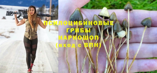 PSILOCYBIN Беломорск